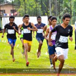 Sports Fiesta 2015