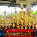 Sports Fiesta 2015