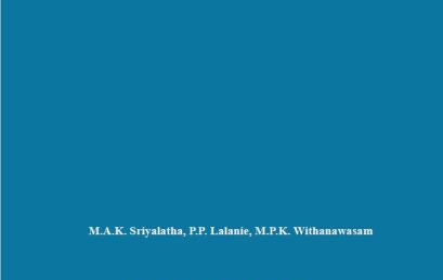 New Study Proposes Robust Framework to Measure Sri Lanka’s Digital Economy