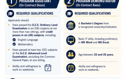 Vacancies – Master of Business Economics & MSc. in Business Economics Programs