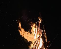 IMG-6398
