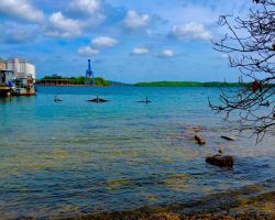 IMG-6402