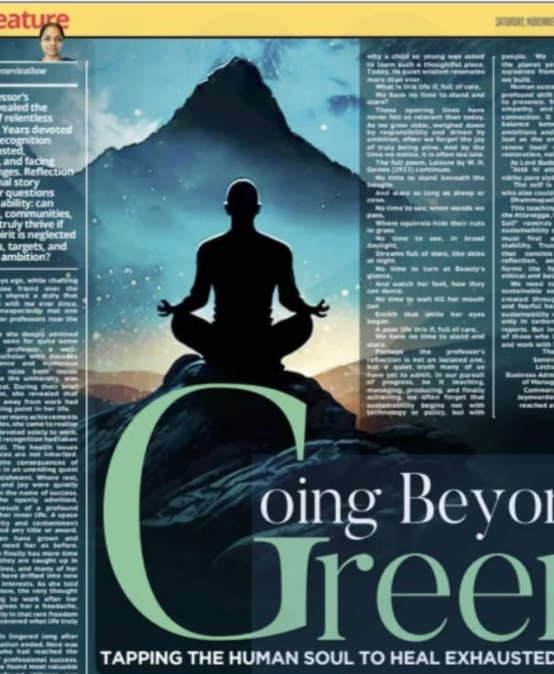 Going beyond green: tapping the human soul to heal exhausted minds