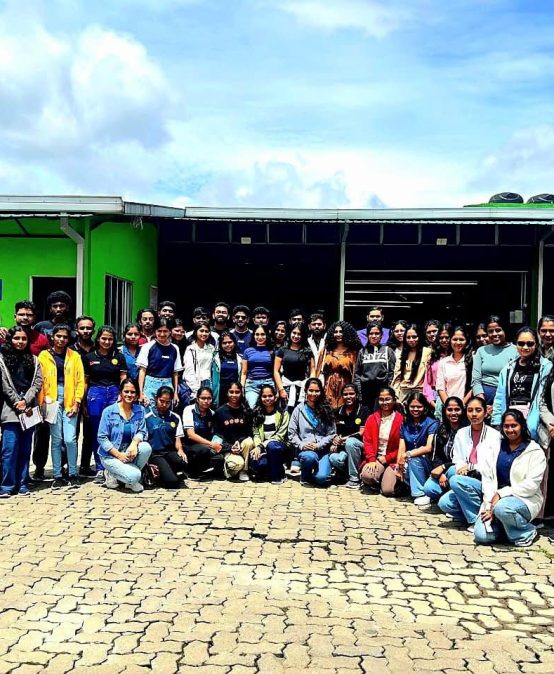 Second-Year Students of the Department of Decision Sciences Gain Practical Exposure through Industry Field Visit to Kandy and Nuwara Eliya
