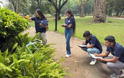 Nature Study Drawing Workshop at Viharamahadevi Park: Enhancing the Observational Sketching Skills of DEMV Undergraduates