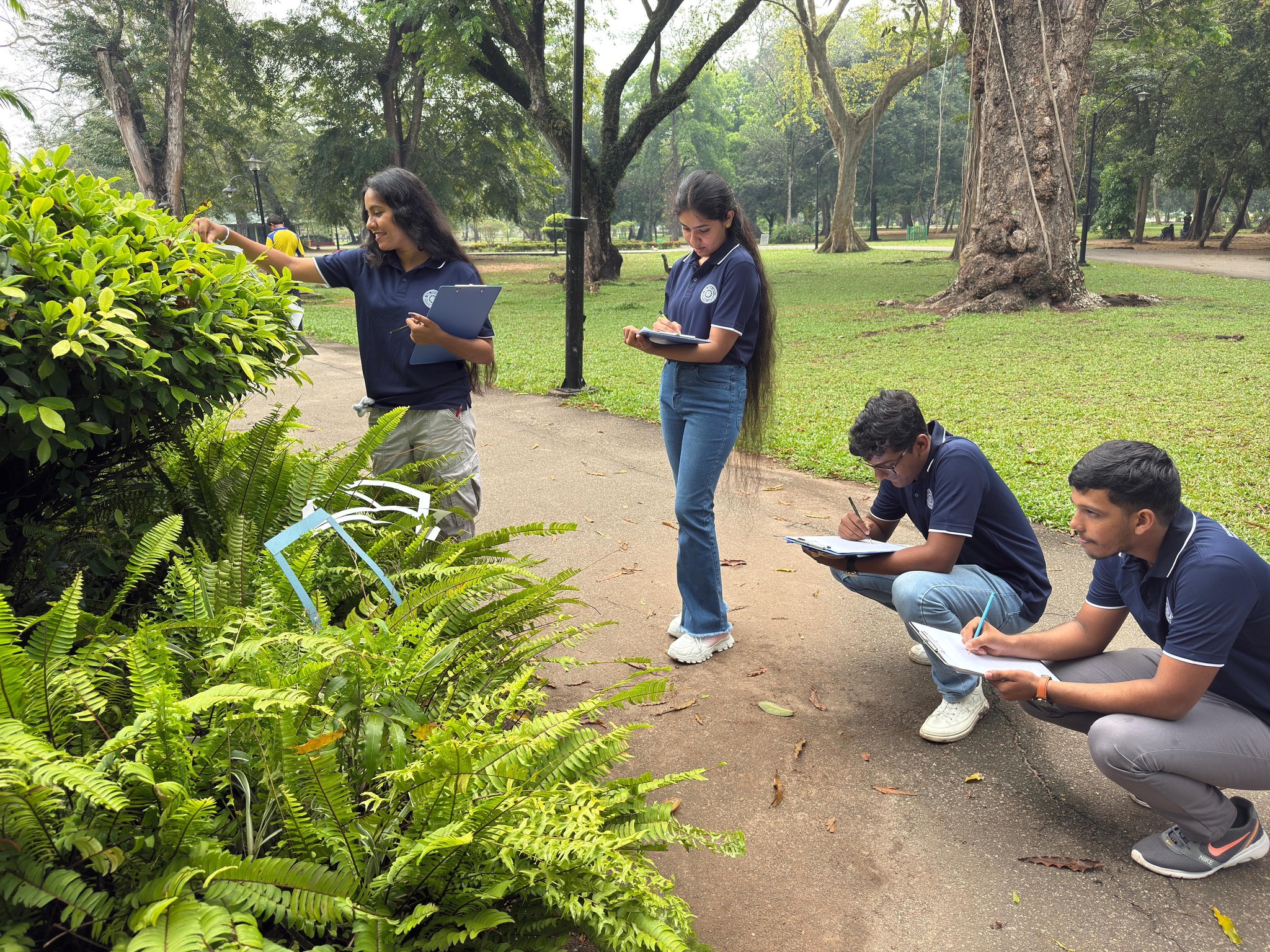 Nature Study Drawing Workshop at Viharamahadevi Park: Enhancing the Observational Sketching Skills of DEMV Undergraduates Nature Study Drawing Workshop at Viharamahadevi Park: Enhancing the Observational Sketching Skills of DEMV Undergraduates