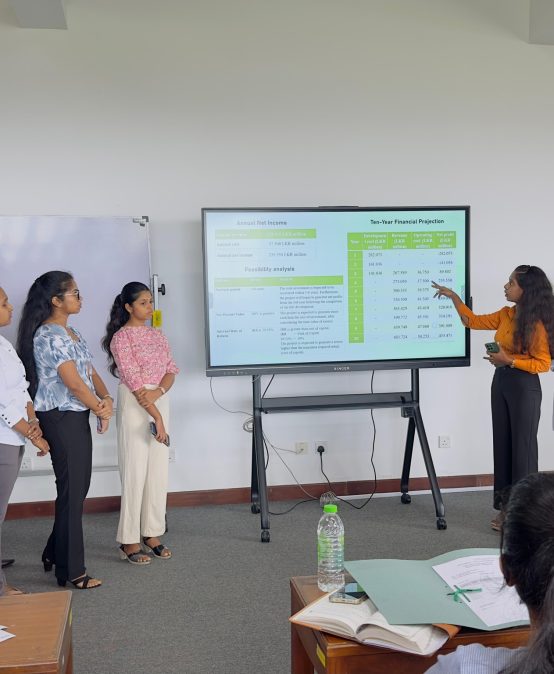 Evaluation of the Real Estate Project – Third-Year Undergraduates