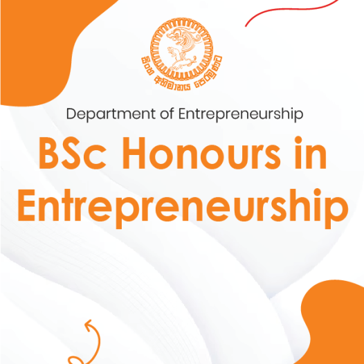 BSc Honours in Entrepreneurship Degree