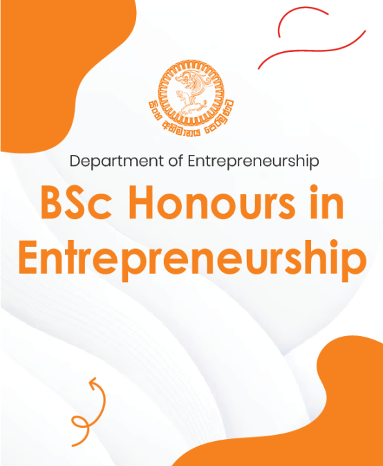 BSc Honours in Entrepreneurship Degree