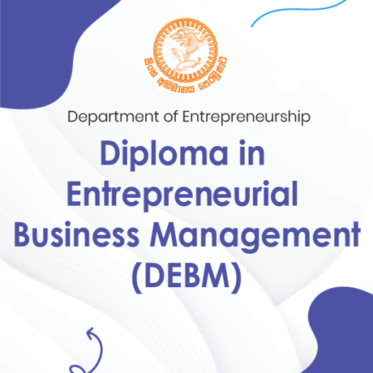 Diploma in Entrepreneurial Business Management (DEBM)