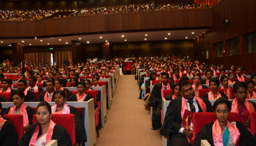 B.Sc. Honours in Finance Degree