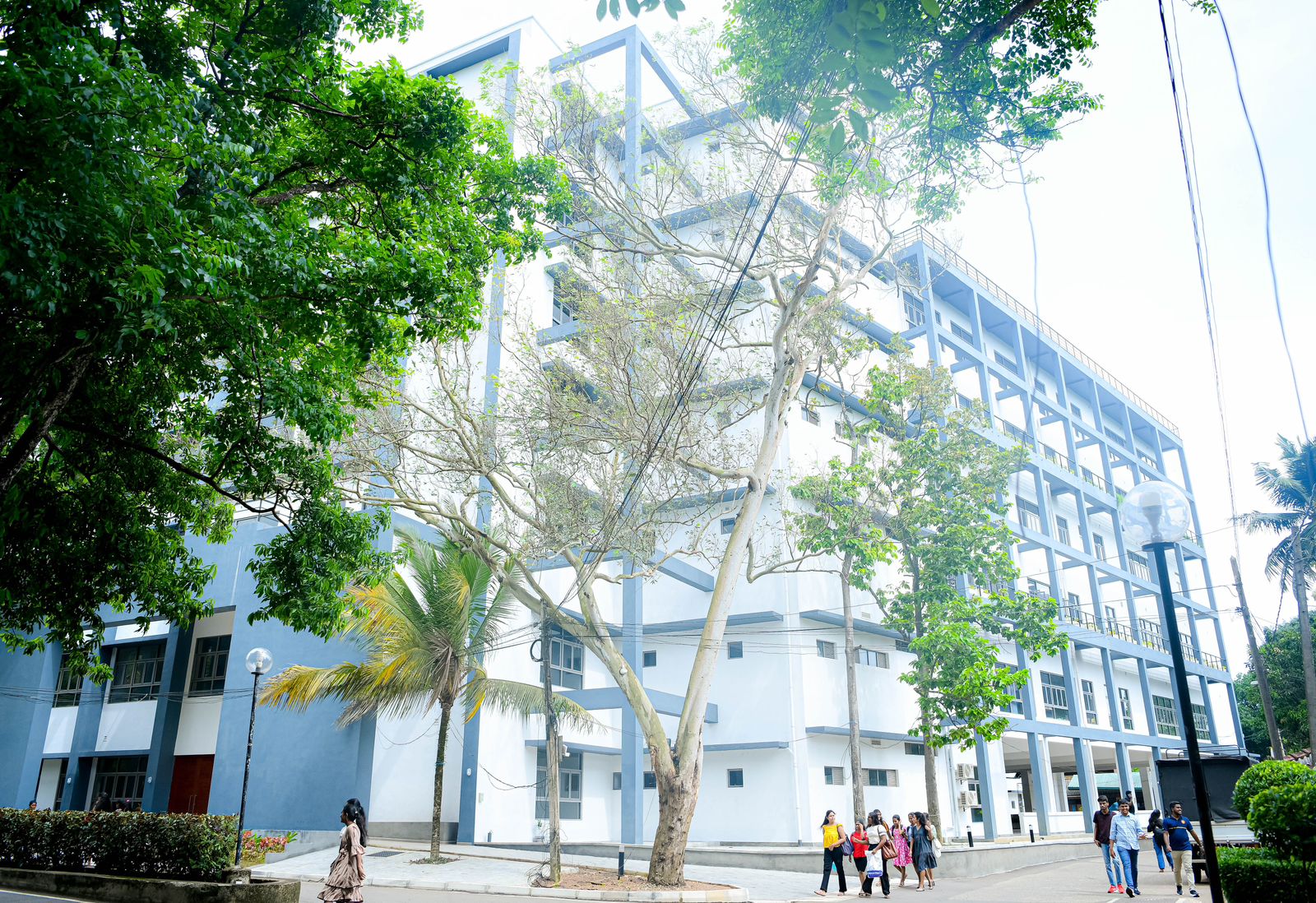 FMSC at 65:Celebrating 65 Years of Excellence in Management Education in Sri Lanka(1960-2025)